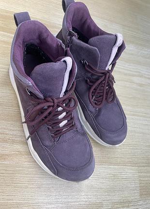 Ботинки ecco, gore tex, 38 размер, 24,5 см