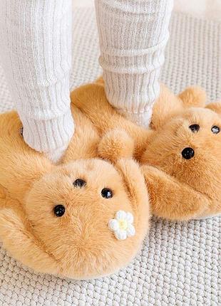 Кімнатні плюшеві тапочки
