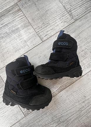 Ботінки сапоги ecco 20/21