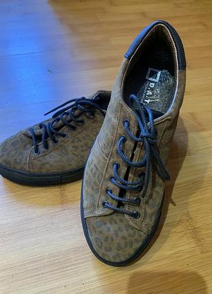 Кеди преміум бренду італія d.а.t.e.