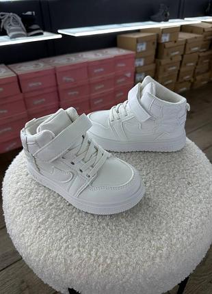 Хайтопи демі