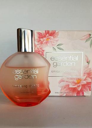 Essential garden "amazing dahlia".