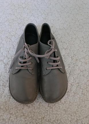 Шкіряні туфлі сірого кольору з шнурками р.36