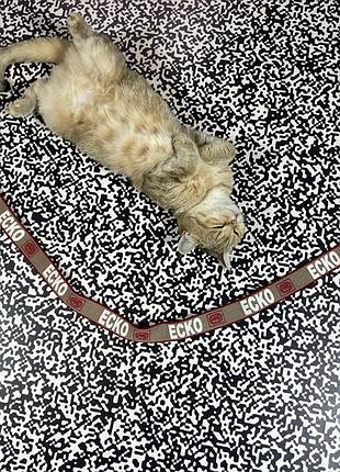 Жіночий ecko unlimited ремінь