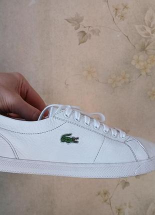 Кеди lacoste 43 р на стопу 27 см