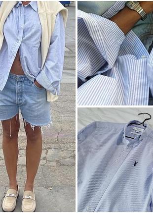 Блакитна рубашка next голуба сорочка жіноча у смужку котон блуза розмір с