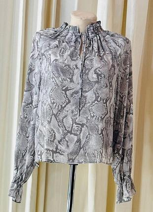 Жіноча блуза сорочка з принтом