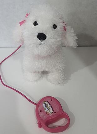 Белая интерактивная собака пудель, ходит и лает