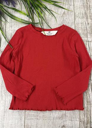 Реглан лонгслів рубчик для дівчинки