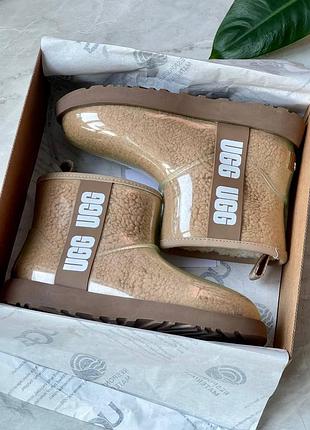 Ugg clear mini boot dune premium 6