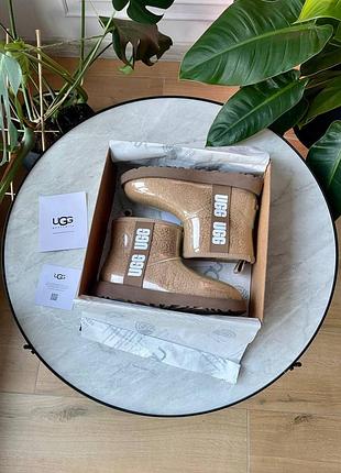 Ugg clear mini boot dune premium 5
