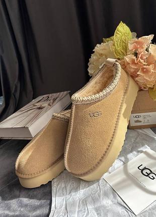 Тапки ugg tazz