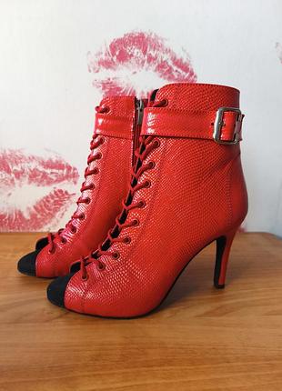 Хиллсы принт змея