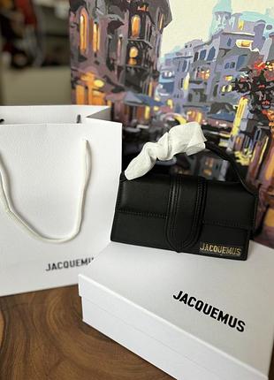 Сумка jacuemus mini 3
