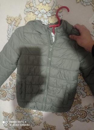 Куртка детская демисезонная короткая, с капюшоном серая sunday. com.