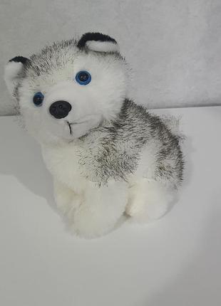 Собака собака маламут хаски реалистика реалистичный песик волк