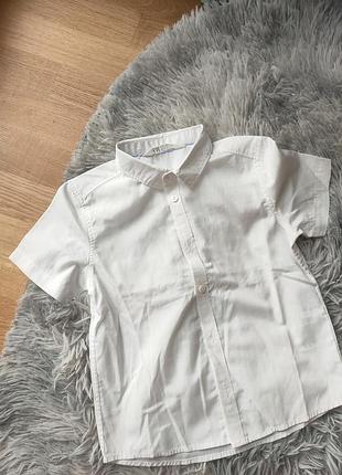 Детская белая рубашка на короткий рукав h&amp;m 5-6 лет 116 см