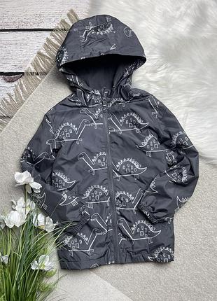 Вітрівка хлопчик