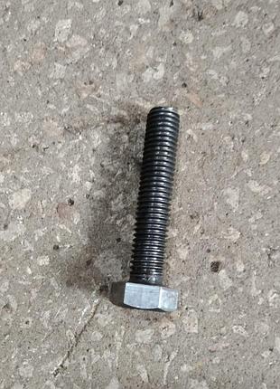 Болт 12х55