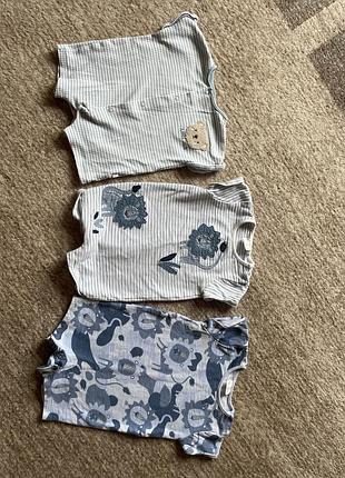 Пісочники next 0-3 міс, 3-6 міс