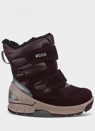 Водонепроницаемые ботинки ecco biom hike с gore-tex
