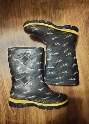 Резиновые сапоги