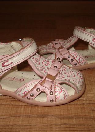 Босоніжки сrocodilino, 12 див.