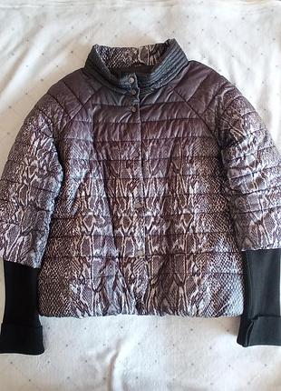 Куртка демисезонная