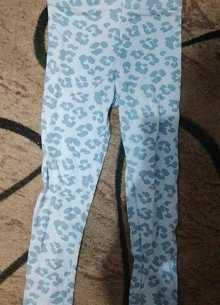 Яркие и комфортные хлопковые лосины, леггинсы от тсм tchibo, нитевичка