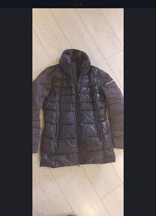 Frieda &amp; freddies new york