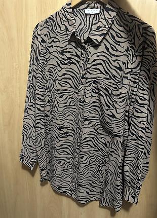 Сорочка/блузка великий розмір