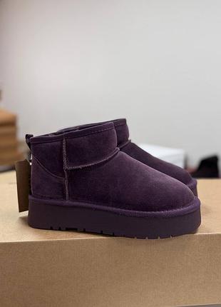 Бордові сливові натуральні замшеві короткі низькі уггі угі уги угги на високій товстій підошві платформі замша слива бордо