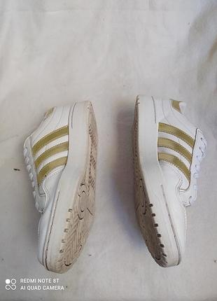 Кросівки жіночі adidas