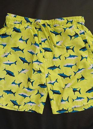 Шорты пляжные для плавания hip&amp;hops 146-152
