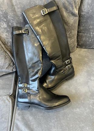 Чоботи graceland