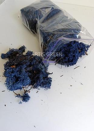 Мох стабилизированный (ягель), темно синий 19, 500 грамм