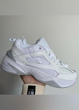 Кроссовки nike m2k tekno "white"