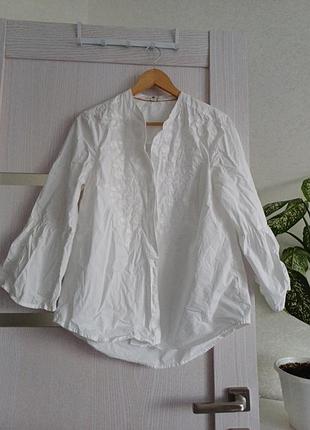 Блуща хлопок