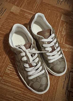 Кеди/кросівик coach  37 розмір ,24.5 см