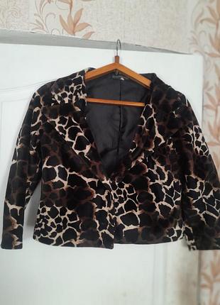 Жакет укороченний