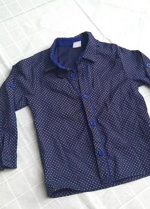 Рубашка besa kids 104cм 4 года синяя в горошек