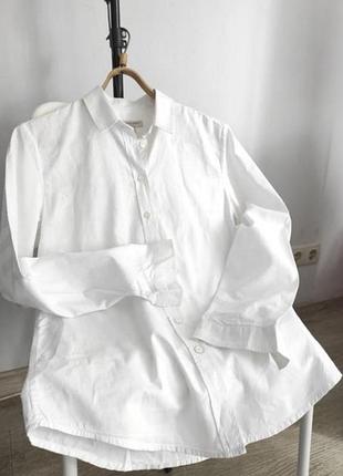 Burberry біла сорочка белая рубашка