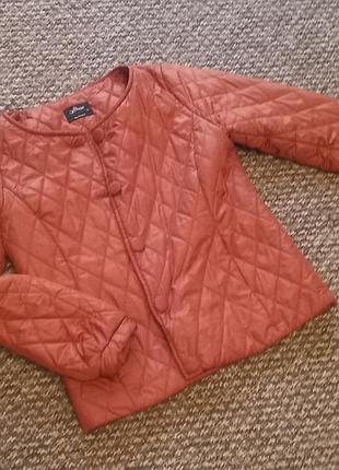 Куртка осень весна