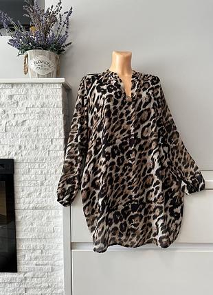 Туніка лео