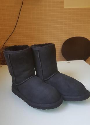 Жіночі уггі ugg оригінал3 фото