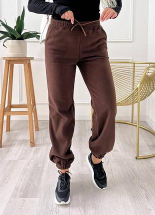 Теплі флісові спортивні штани джоггери жіночі з щільного двостороннього флісу полар 42-52 шоколад (коричневі)
