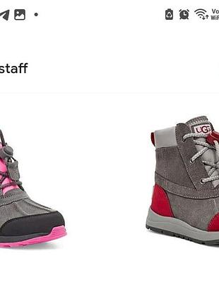 Сапоги ugg черевики сапожки
