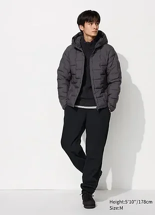 Зимние спортивные штаны uniqlo на iшерпе uniqlo heattech pile line размер l (long)