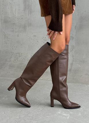Чоботи демі жіночі натуральна шкіра на каблуці коричневі