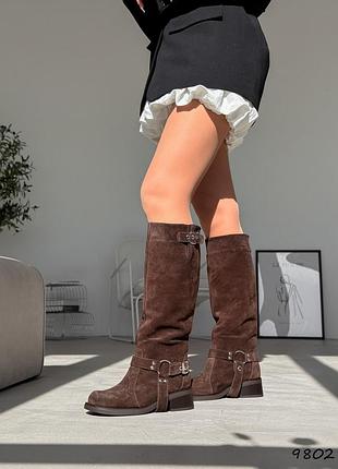 Сапоги байкерские женские nasi шоколад натуральная замша деми